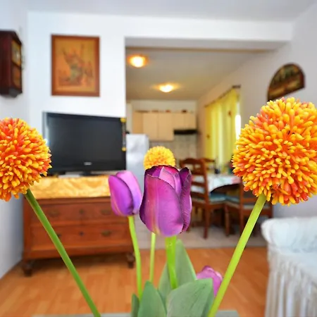 Apartment Apartman Bozikovic